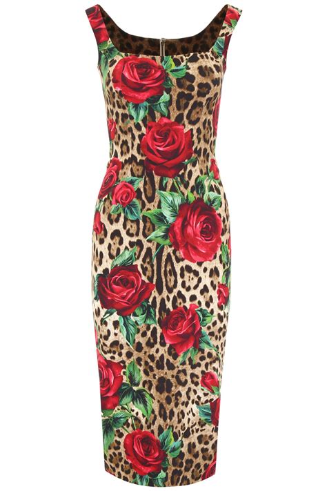 dolce and gabbana leopard and rose dress
